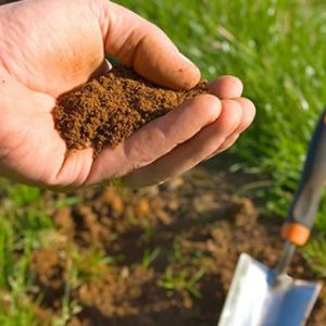 خاک و زمین مناسب برای کشت زعفران